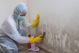 Asbestos and Lead Testing During Mold Inspection in Carrboro, NC